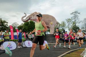 BIB: 
                            <button type="button" onclick="openModal(26528269)" class="btn btn-primary btn-sm float-right btn-popup" data-toggle="modal" data-target=".modal-high-quality">
                        <i class="fas fa-shopping-cart"></i> Add to Cart
                    </button>
                                            <button type="button" onclick="isThisMe(26528269, true)" class="btn btn-success btn-sm float-right btn-popup btn-isme hidden" data-toggle="tooltip" data-placement="bottom" title="นี่คือรูปของคุณใช่ไหม คลิกที่นี่เพื่อเอาเข้าอัลบั้ม">
                        <i class="fas fa-plus"></i> Add to album
                    </button>
                    <button type="button" onclick="isThisMe(26528269, false)" class="btn btn-warning btn-sm float-right btn-popup btn-isnotme hidden">
                        <i class="fas fa-ban"></i> Remove from album
                    </button>